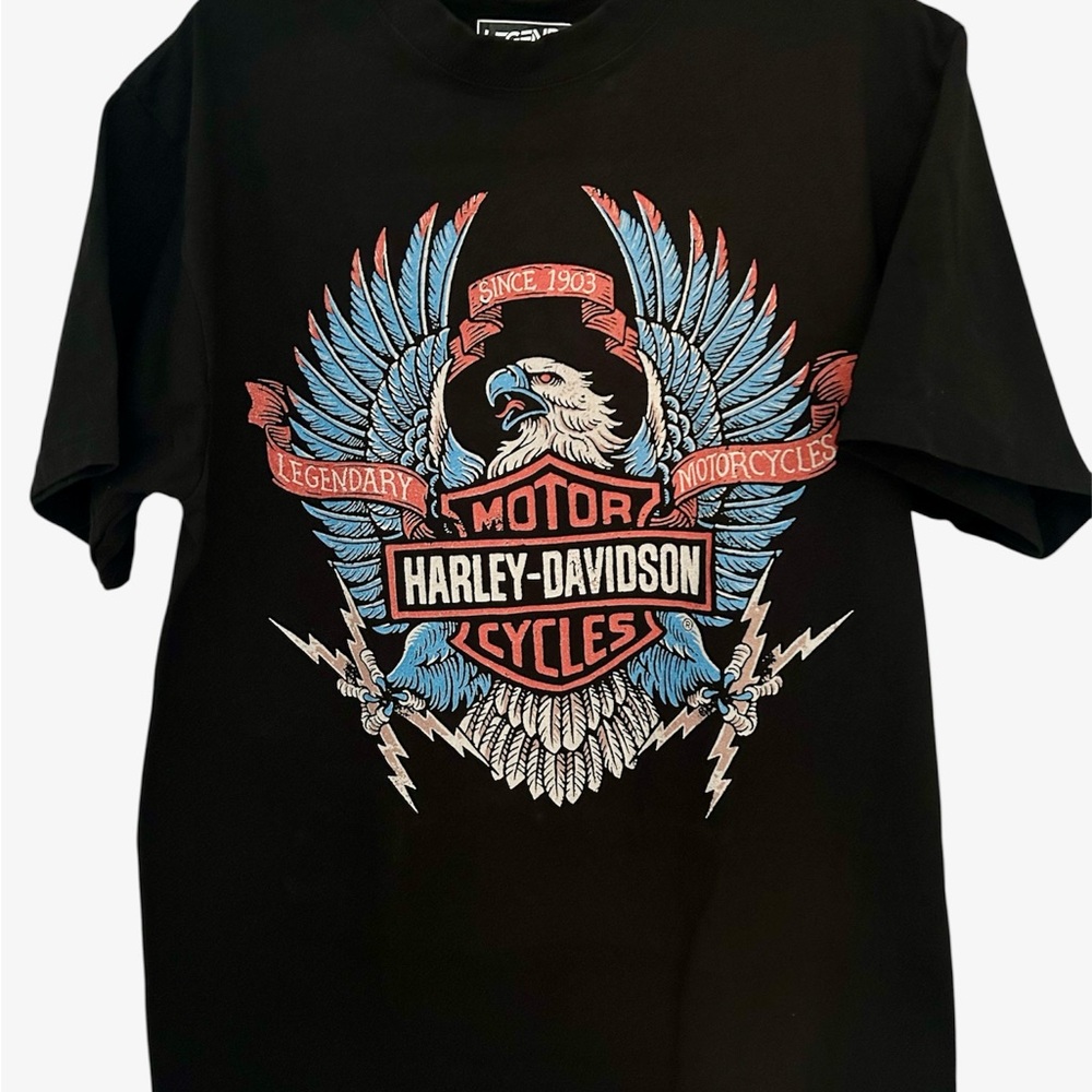 Harley-Davidson Electric Eagle Tee - image 1
